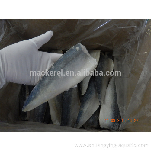 Chinese Frozen Seafood Mackerel Fillet With EU Standard